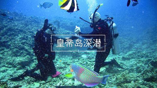 迎着阳光,尽情舞蹈,直到火热的爱情,熔化我