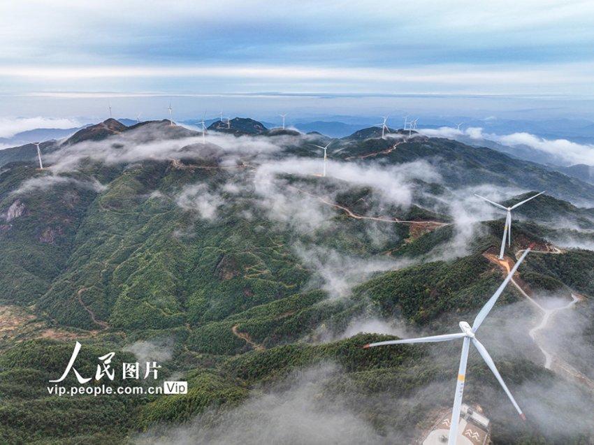 《知否》：揭秘齐衡失败的真相，顾廷烨发言震撼全场！