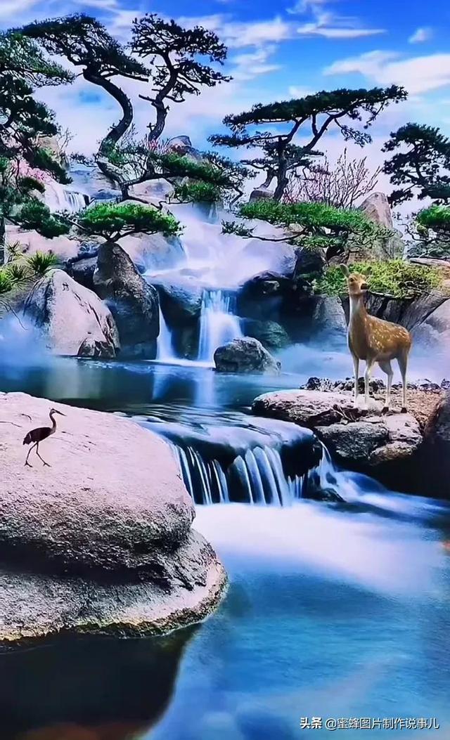 逃离壳牌岛