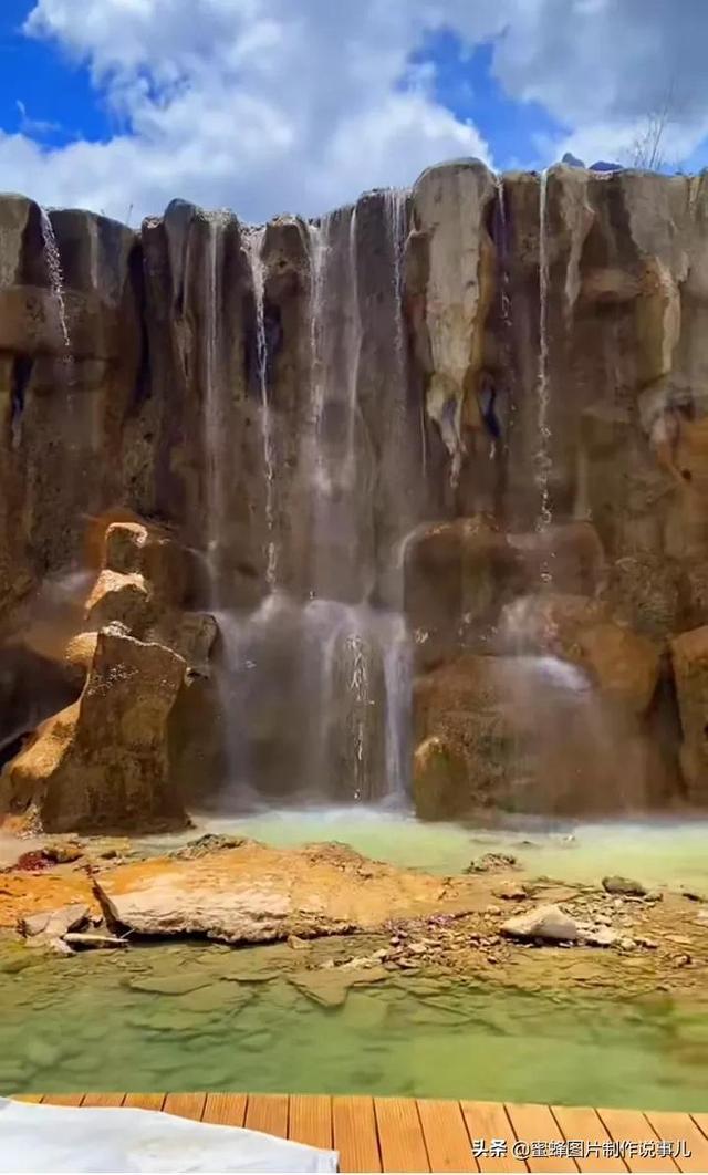 逃离橡子树种植地