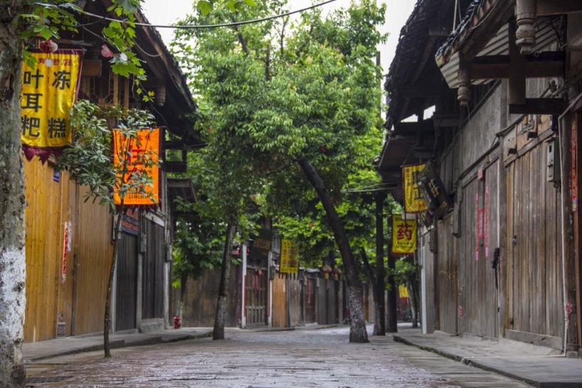 塞洋葱、尿淋麦子,古代人验孕花样,甚至把青蛙整灭绝了?