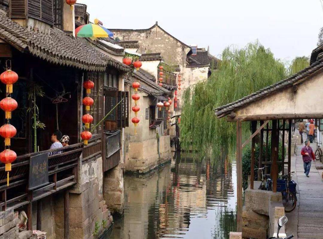 僵尸顶顶乐